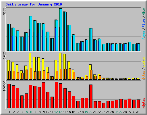 Daily usage for January 2019