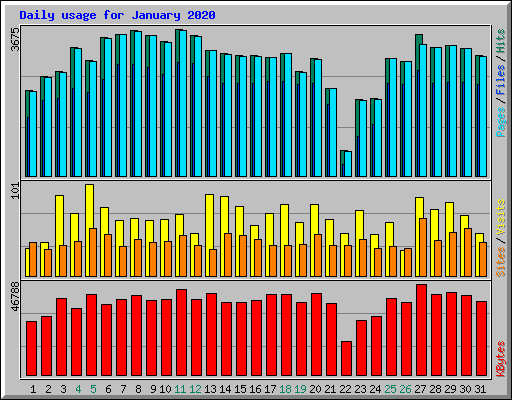 Daily usage for January 2020