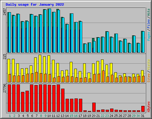 Daily usage for January 2022