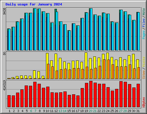 Daily usage for January 2024