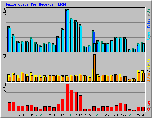 Daily usage for December 2024