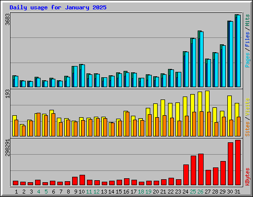 Daily usage for January 2025