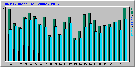 Hourly usage for January 2016