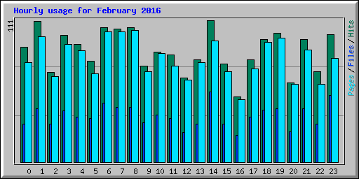 Hourly usage for February 2016
