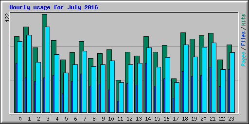 Hourly usage for July 2016
