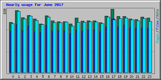 Hourly usage for June 2017