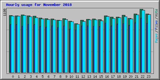 Hourly usage for November 2018
