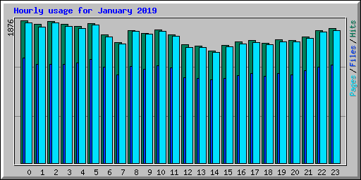 Hourly usage for January 2019