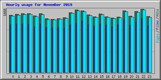 Hourly usage for November 2019