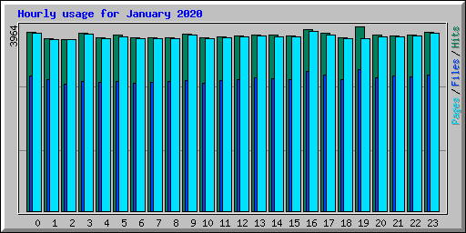 Hourly usage for January 2020