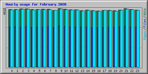 Hourly usage for February 2020
