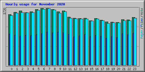 Hourly usage for November 2020
