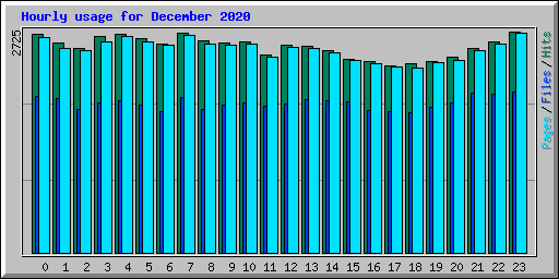 Hourly usage for December 2020