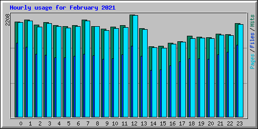 Hourly usage for February 2021
