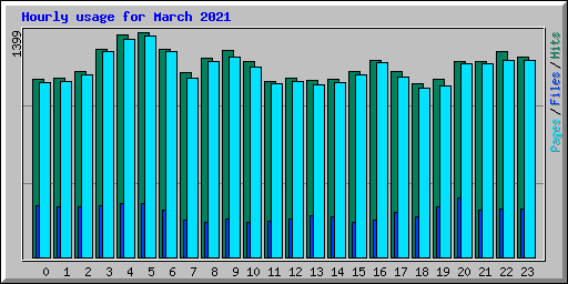 Hourly usage for March 2021