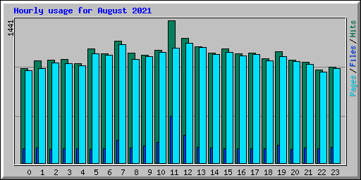 Hourly usage for August 2021