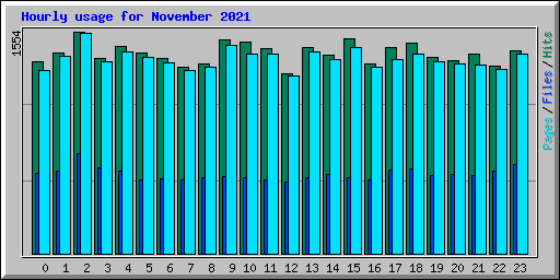Hourly usage for November 2021