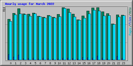 Hourly usage for March 2022