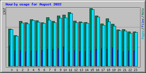 Hourly usage for August 2022