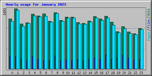 Hourly usage for January 2023