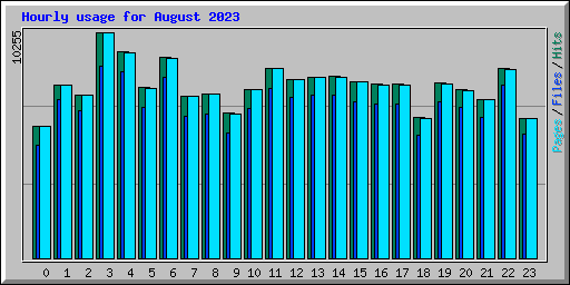 Hourly usage for August 2023