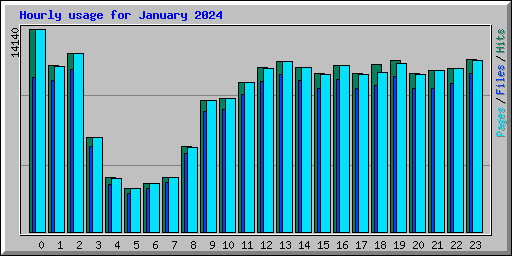 Hourly usage for January 2024