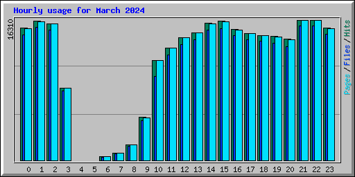 Hourly usage for March 2024