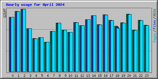 Hourly usage for April 2024