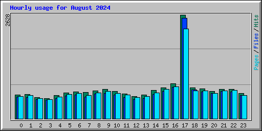 Hourly usage for August 2024