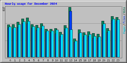 Hourly usage for December 2024