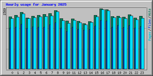 Hourly usage for January 2025