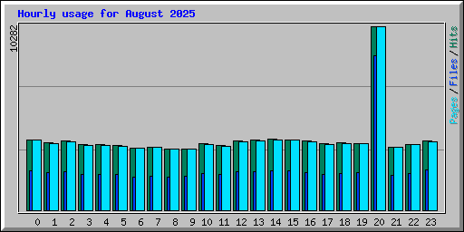 Hourly usage for August 2025