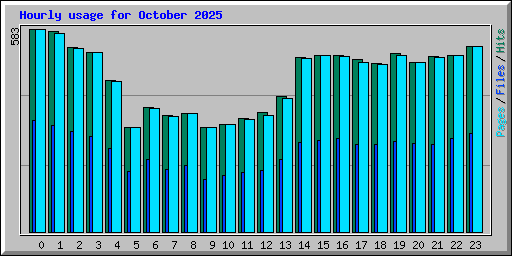 Hourly usage for October 2025