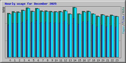 Hourly usage for December 2025