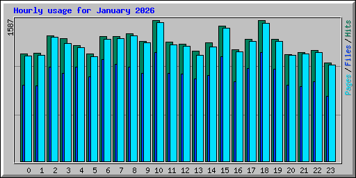 Hourly usage for January 2026