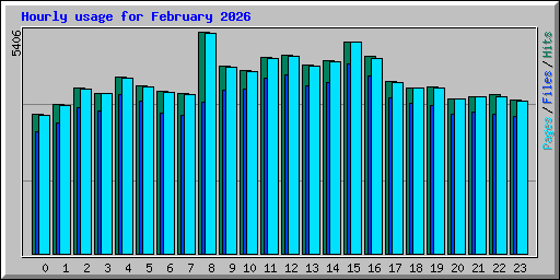 Hourly usage for February 2026