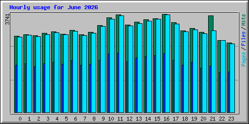 Hourly usage for June 2026