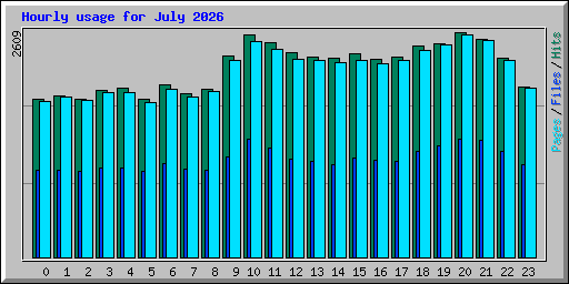 Hourly usage for July 2026